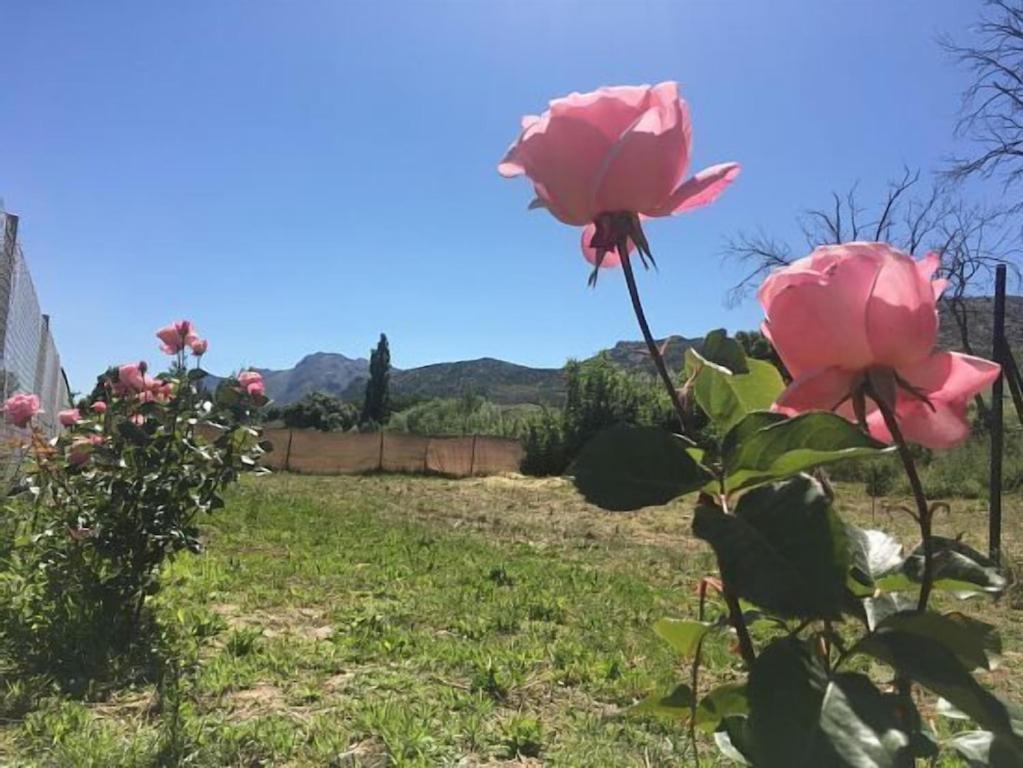 Casa Rural La Maestra Ronda Buitenkant foto